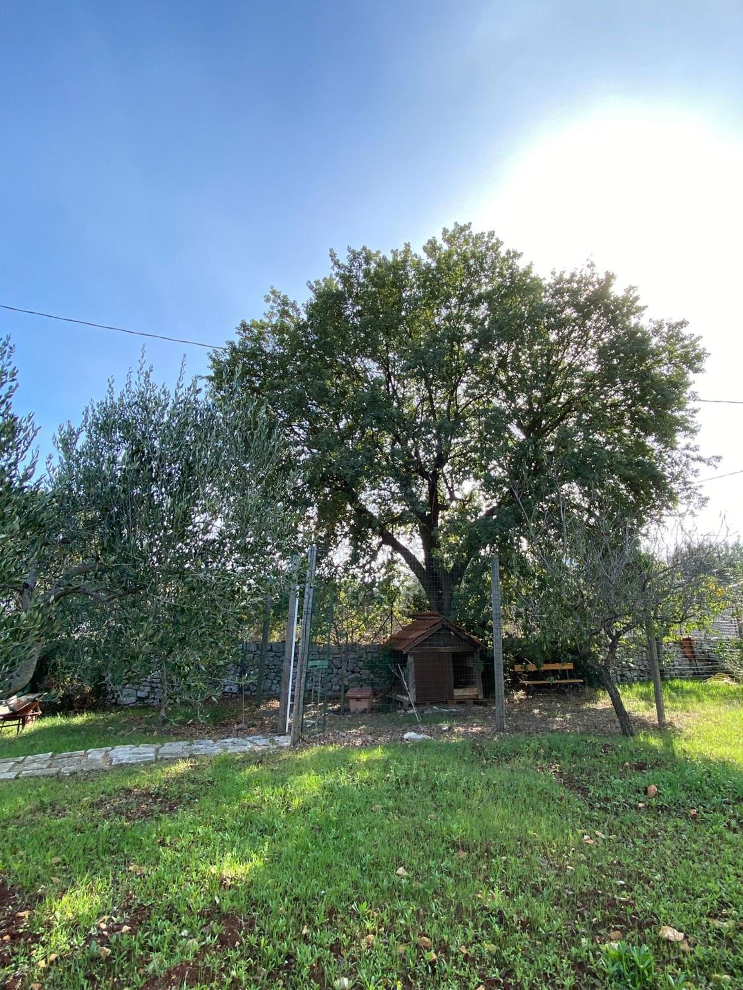 Ferienhaus Dimora Del Fragno Castellana Grotte